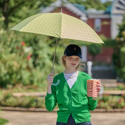 日傘 ノーマルストライプ 《ALL IN UMBRELLA》 晴雨兼用 長傘 AL753